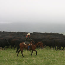 Load image into Gallery viewer, Hamburger