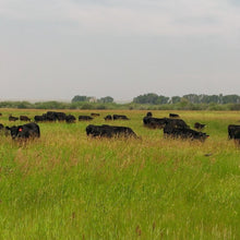 Load image into Gallery viewer, Chuck Roasts